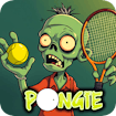 Pongie